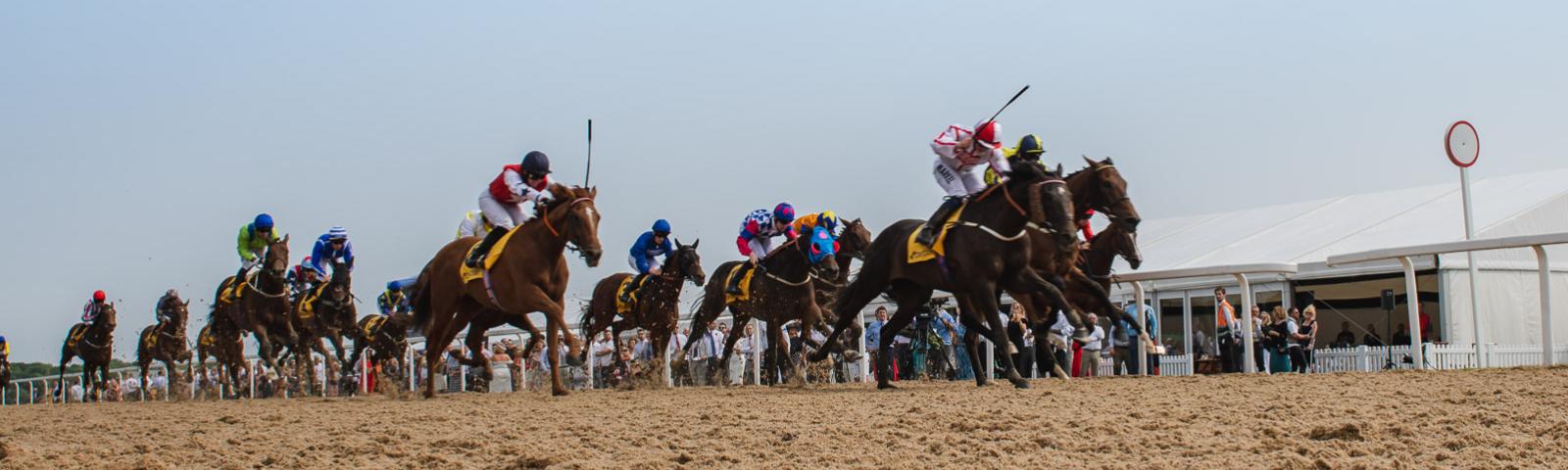 Who Dares Wins wins the Northumberland Plate