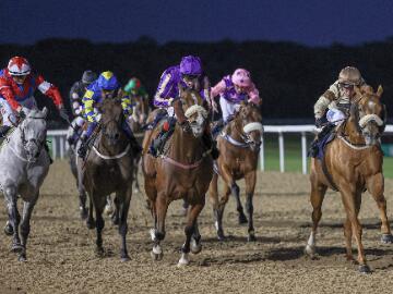 Evening racing at Newcastle Racecourse.