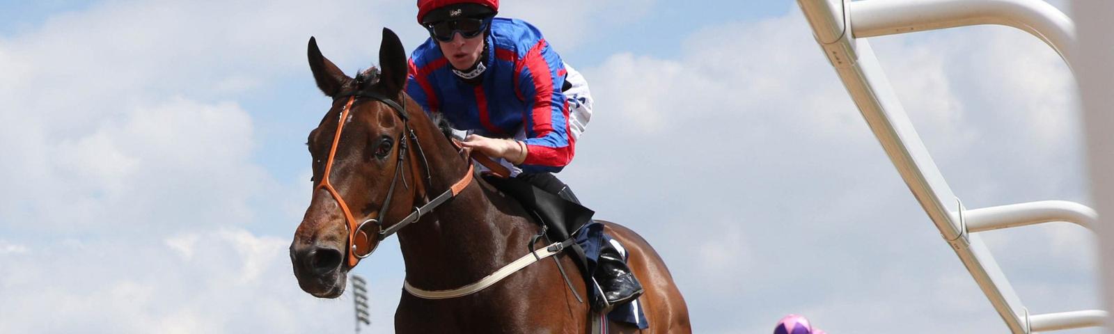 A horse and Jockey, the jockey wears blue and red.
