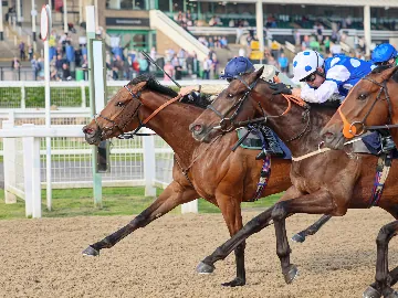 November 25th- Wednesday afternoon, flat racing, all weather track 