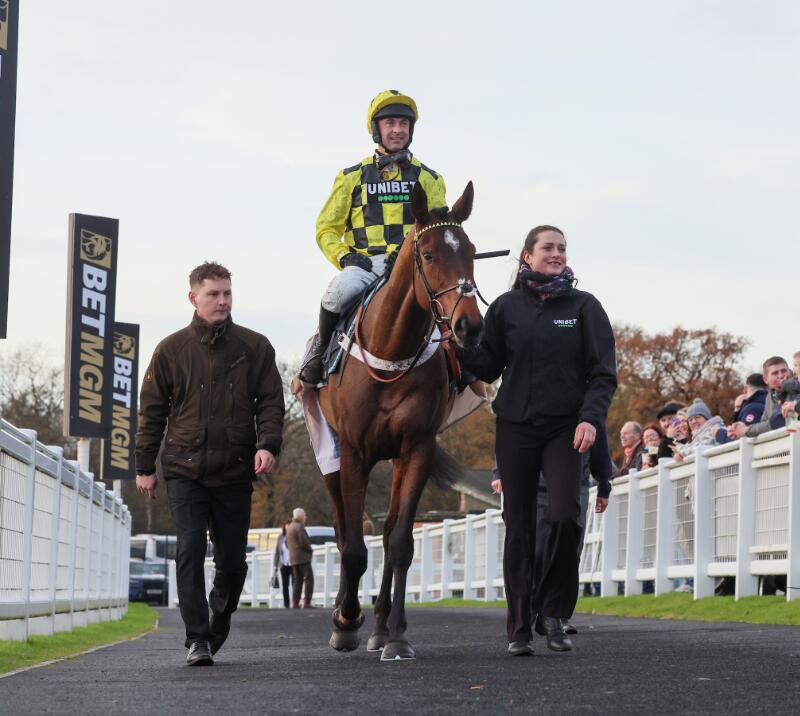 Fighting Fifth Sir Gino Horsewalk