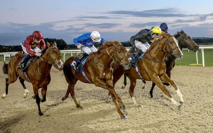Four horses running towards the finish