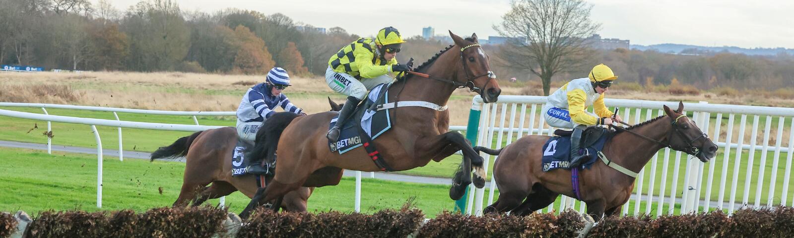 Sir Gino Fighting Fifth