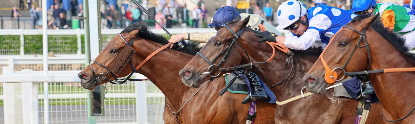 November 25th- Wednesday afternoon, flat racing, all weather track 