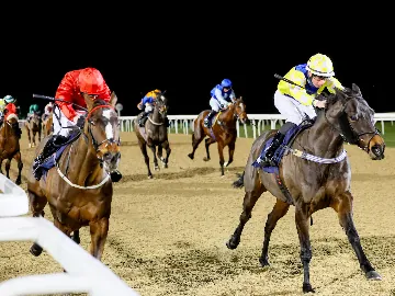 December 19th- Saturday evening, floodlit racing, all weather track