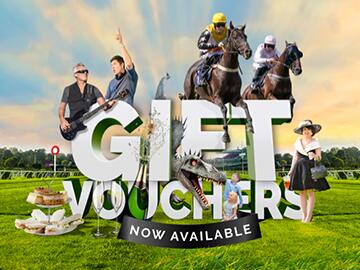 Early January Sale Newcastle Racecourse