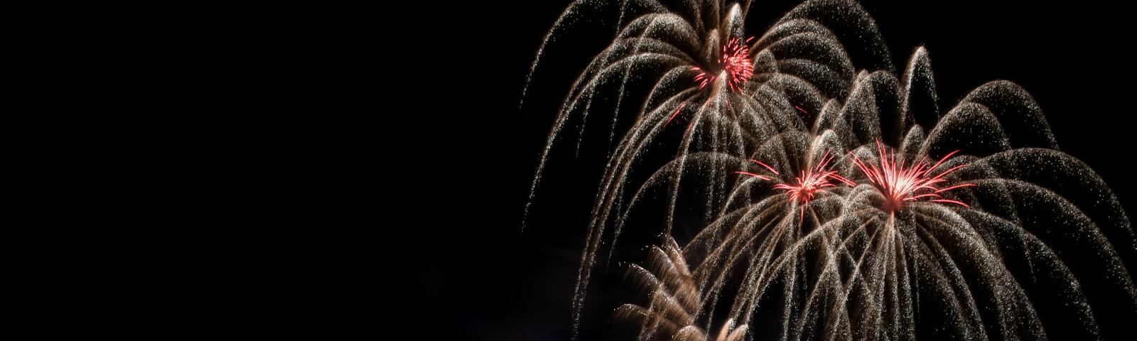 Fireworks bursting in the sky during a fireworks display