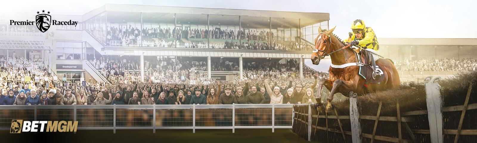 BetMGM Fighting Fifth Hurdle 