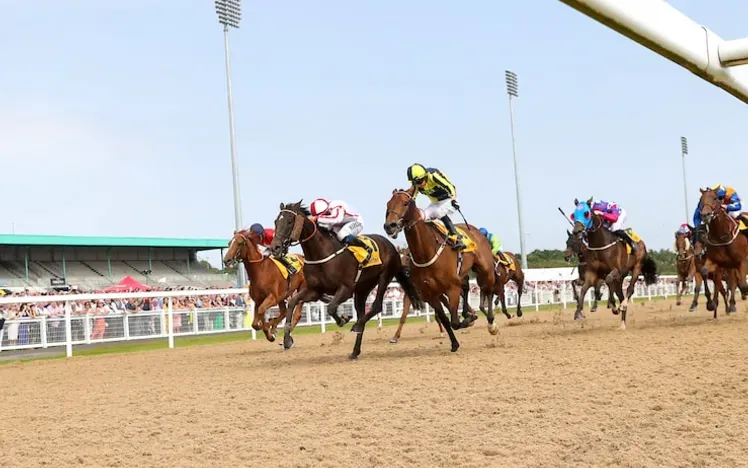 Horses racing on the all weather track at Newcastle