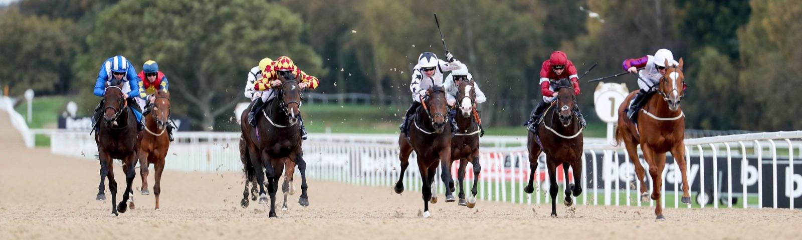 A field of horses with jockeys running towards the camera